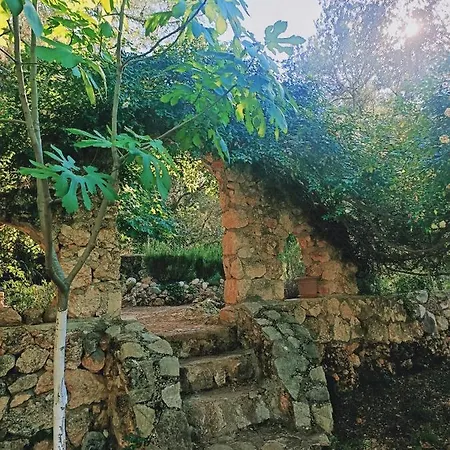 Vita Camping Otel Geyikbayiri Exterior photo