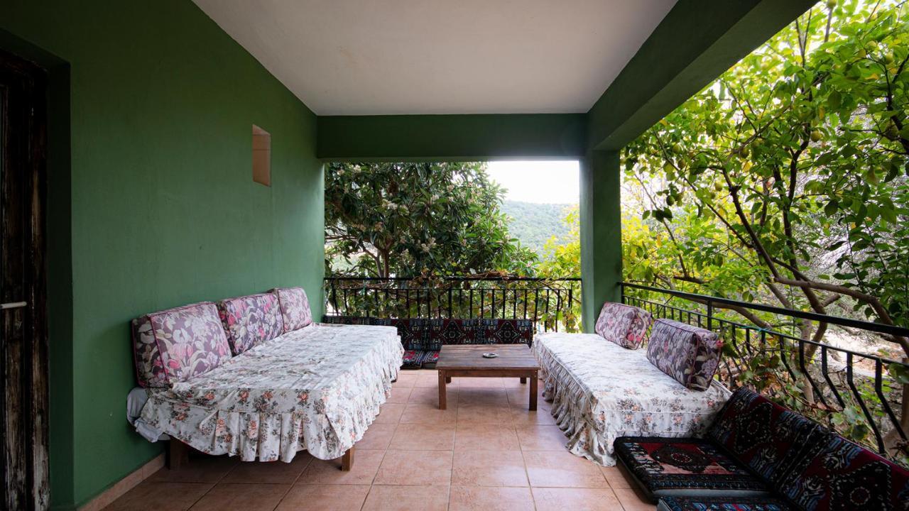 Vita Camping Otel Homestay